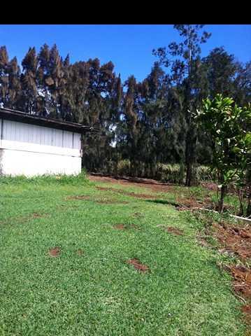 1200 Kokomo Road Haiku, HI 96708 - Photo 20 of 24 a view of a backyard