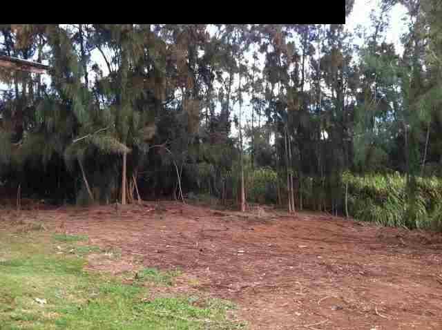 1200 Kokomo Road Haiku, HI 96708 - Photo 24 of 24 a view of outdoor space with trees