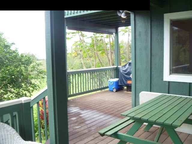 1200 Kokomo Road Haiku, HI 96708 - Photo 8 of 24 a view of a deck with a chair and table