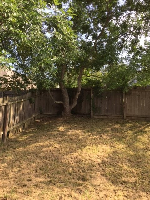324 Planters Grove Ridgeland, MS 39157 - Photo 2 of 5 Photo 2