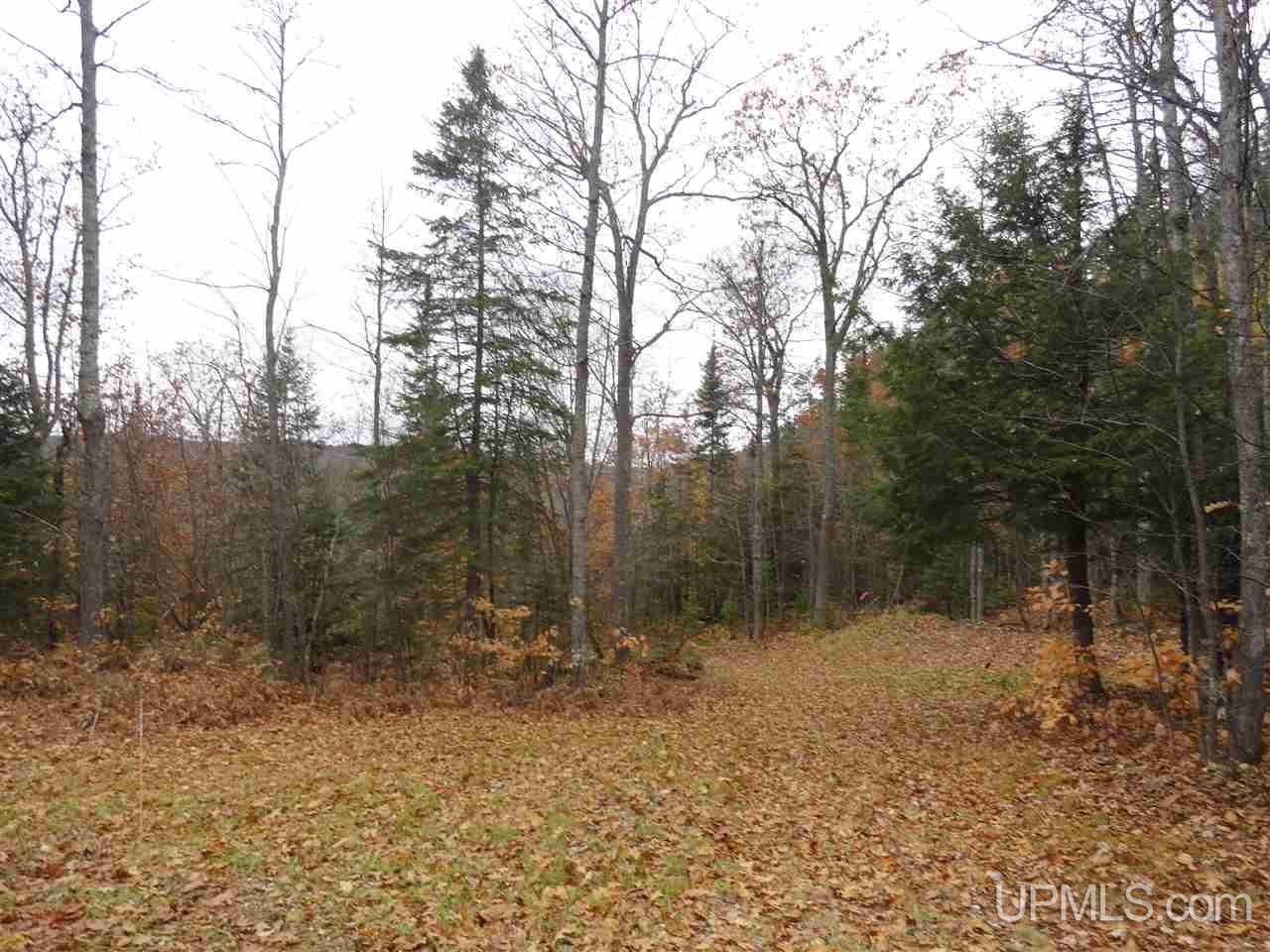 80-acres Co Rd Gga (aka Red Road Champion, MI 49849 - Photo 24 of 26