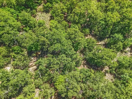 $124,999 | Lot 399 Sunset Bay Drive, Chico, TX 76431
