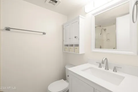 a bathroom with a sink toilet and vanity