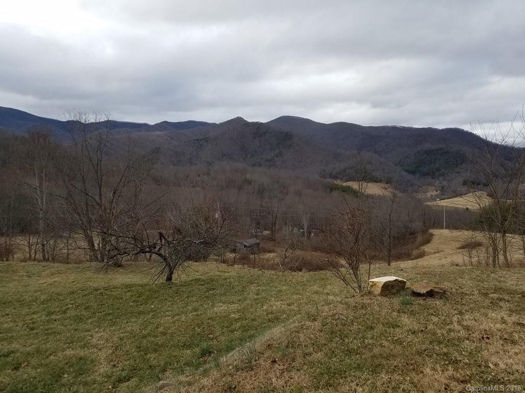 553 Chambers Cove Road Canton, NC 28716 - Photo 4 of 16
