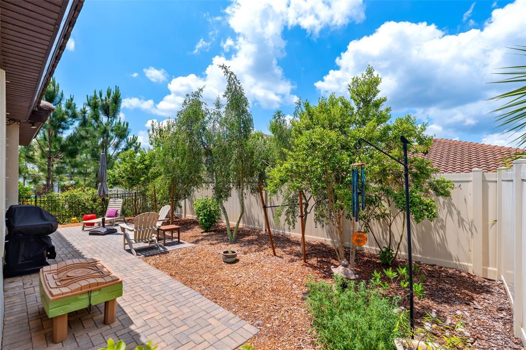 3877 Burdick Loop Odessa, FL 33556 - Photo 37 of 64 a view of a backyard with plants and a patio