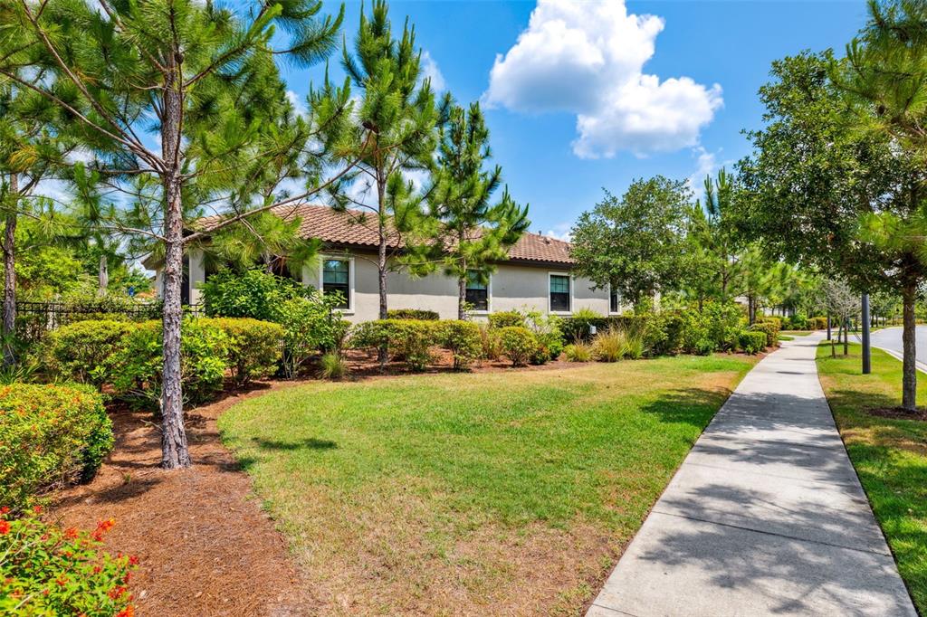 3877 Burdick Loop Odessa, FL 33556 - Photo 39 of 64 a front view of a house with yard and green space