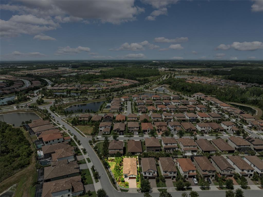 3877 Burdick Loop Odessa, FL 33556 - Photo 42 of 64