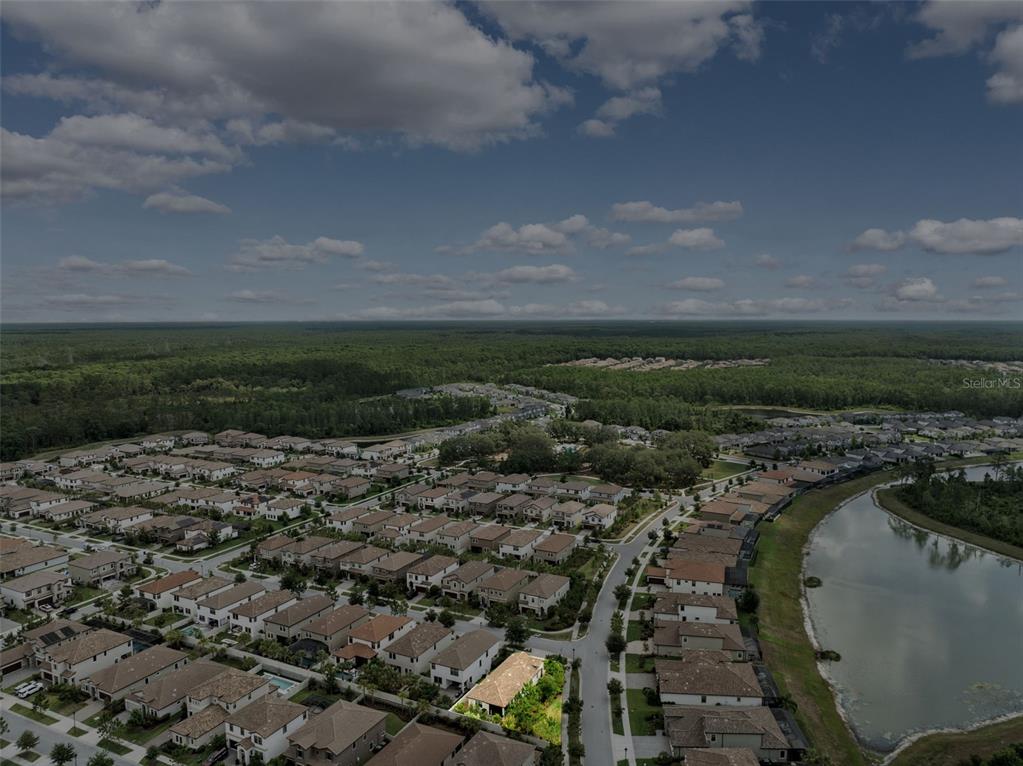 3877 Burdick Loop Odessa, FL 33556 - Photo 46 of 64