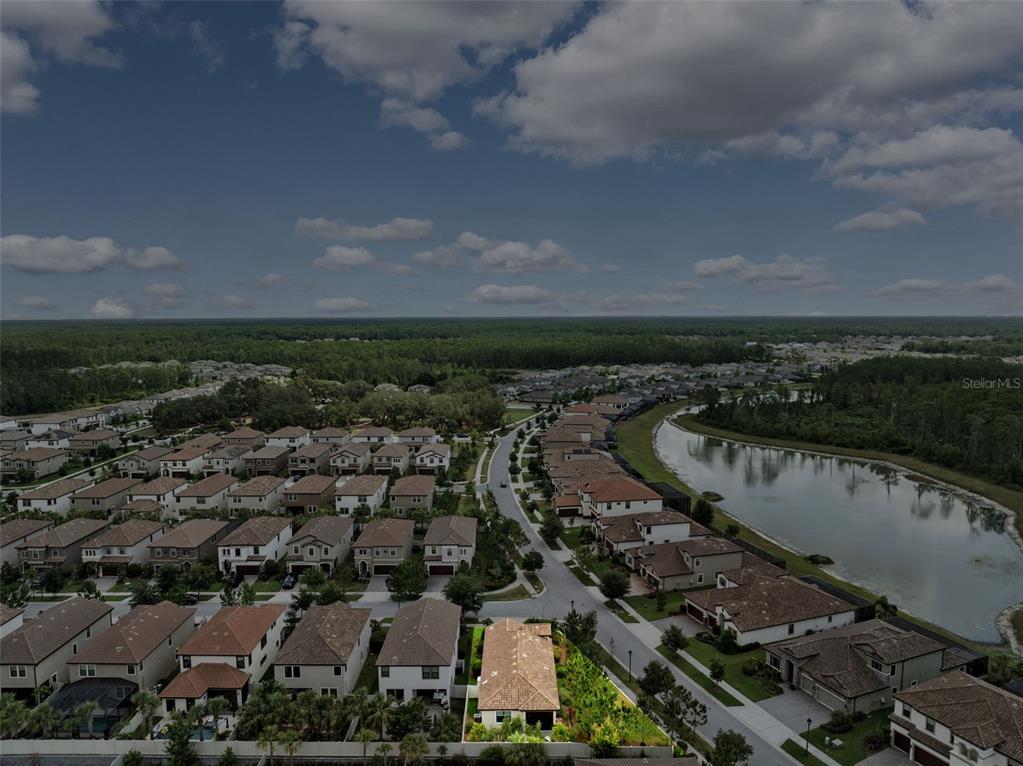 3877 Burdick Loop Odessa, FL 33556 - Photo 47 of 64