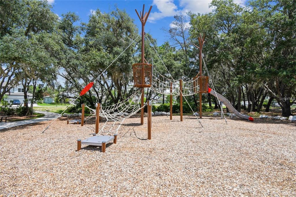 3877 Burdick Loop Odessa, FL 33556 - Photo 49 of 64 a bench is sitting in the middle of a yard