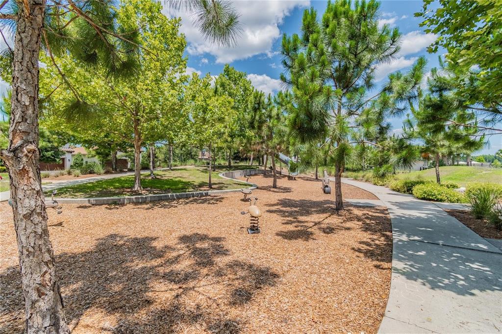 3877 Burdick Loop Odessa, FL 33556 - Photo 59 of 64 a view of a tree with a yard
