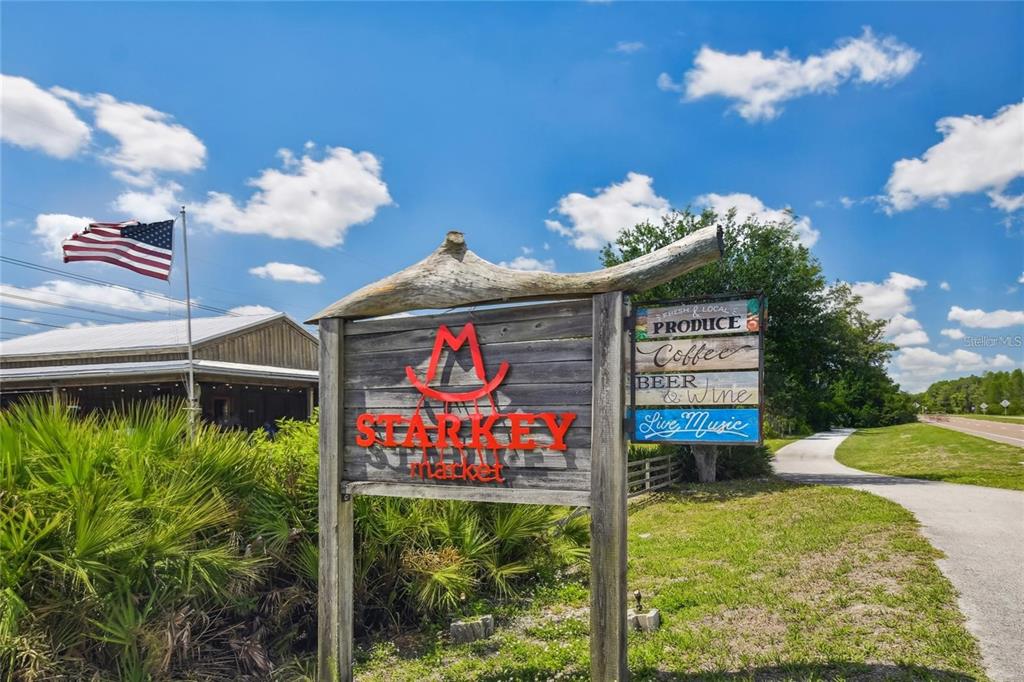 3877 Burdick Loop Odessa, FL 33556 - Photo 64 of 64