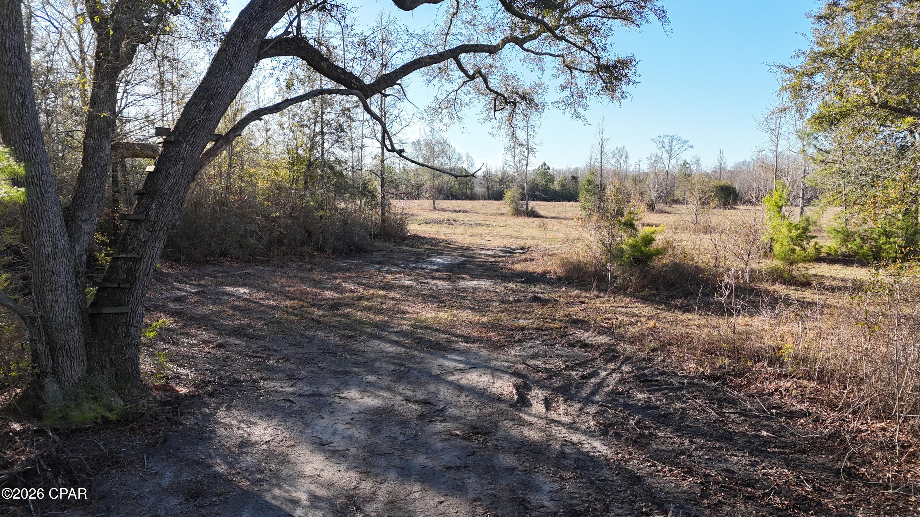 3120 Mount Olive Road Bonifay, FL 32425 - Photo 1 of 11
