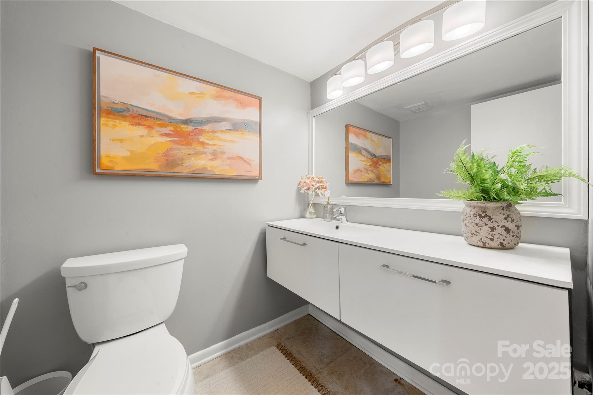 181 Riverview Terrace Clover, SC 29710 - Photo 9 of 43 a bathroom with a toilet a sink and mirror