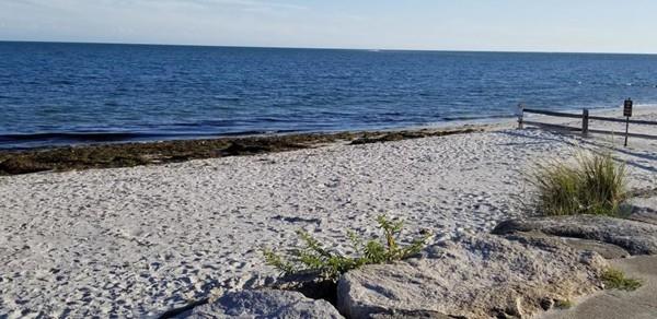 26 Howes Road Yarmouth, MA 02664 - Photo 33 of 37