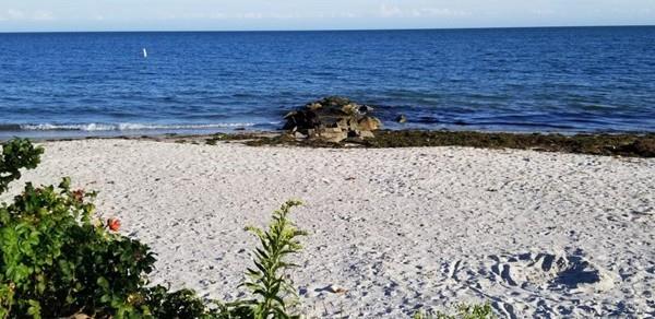 26 Howes Road Yarmouth, MA 02664 - Photo 34 of 37