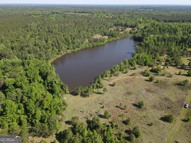 0 Bill Glenn Road Swainsboro, GA 30401 - Photo 5 of 5