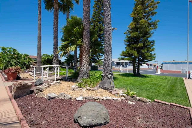 a view of a backyard with a garden and plants