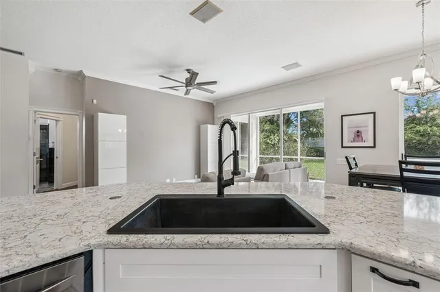 a view of a swimming pool with lawn chairs and plants