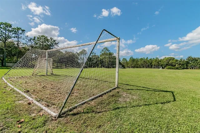 $515,000 | 17707 Nathans Drive, Tampa, FL 33647