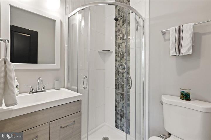 1634 Ridge Place Southeast Washington, DC 20020 - Photo 18 of 27 a bathroom with a sink a toilet and shower