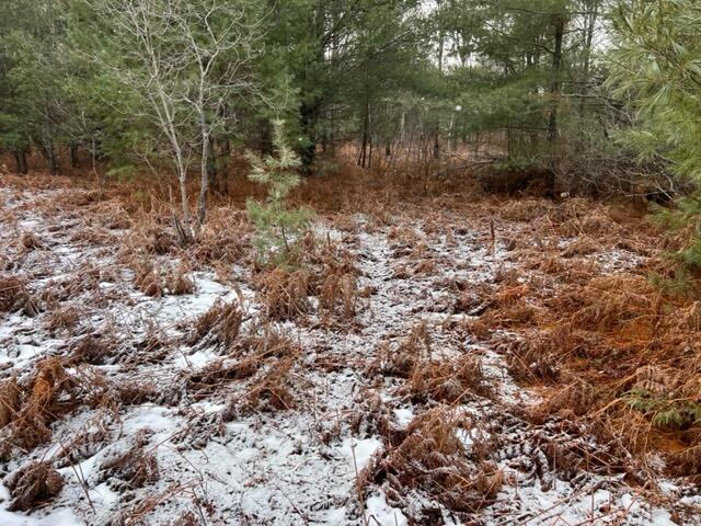 West Dotski Road Levering, MI 49755 - Photo 37 of 61 Gallery Image 37