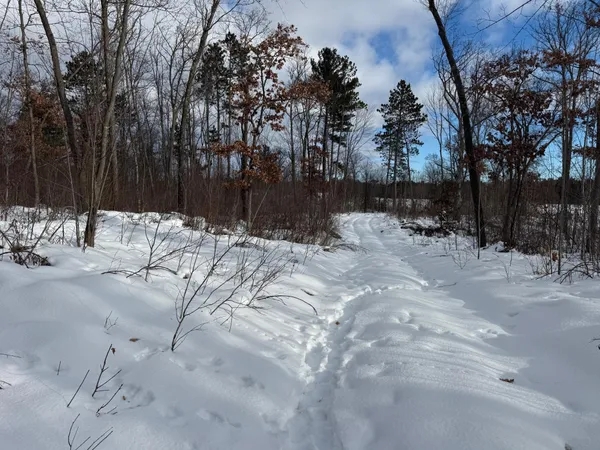 $75,000 | Tbd Foss Lane, Spooner, WI 54801