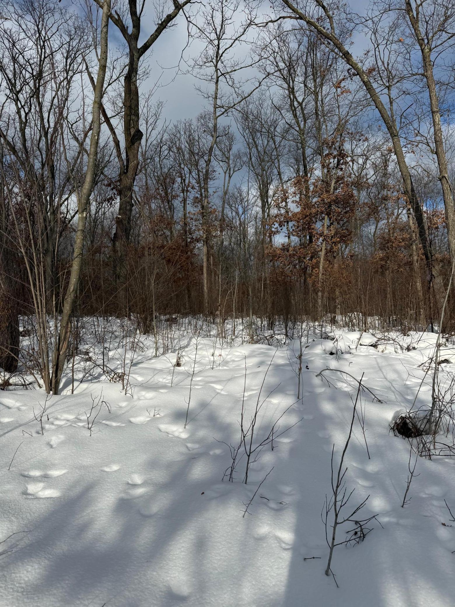 Tbd Foss Lane Spooner, WI 54801 - Photo 11 of 13