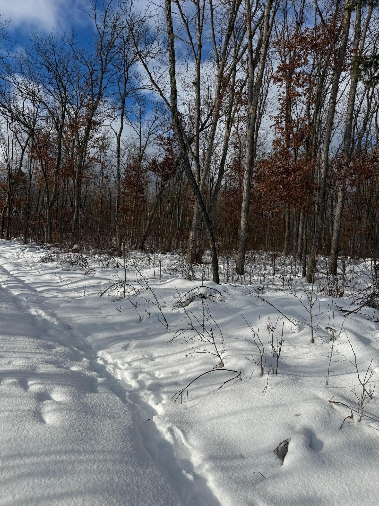 Tbd Foss Lane Spooner, WI 54801 - Photo 12 of 13