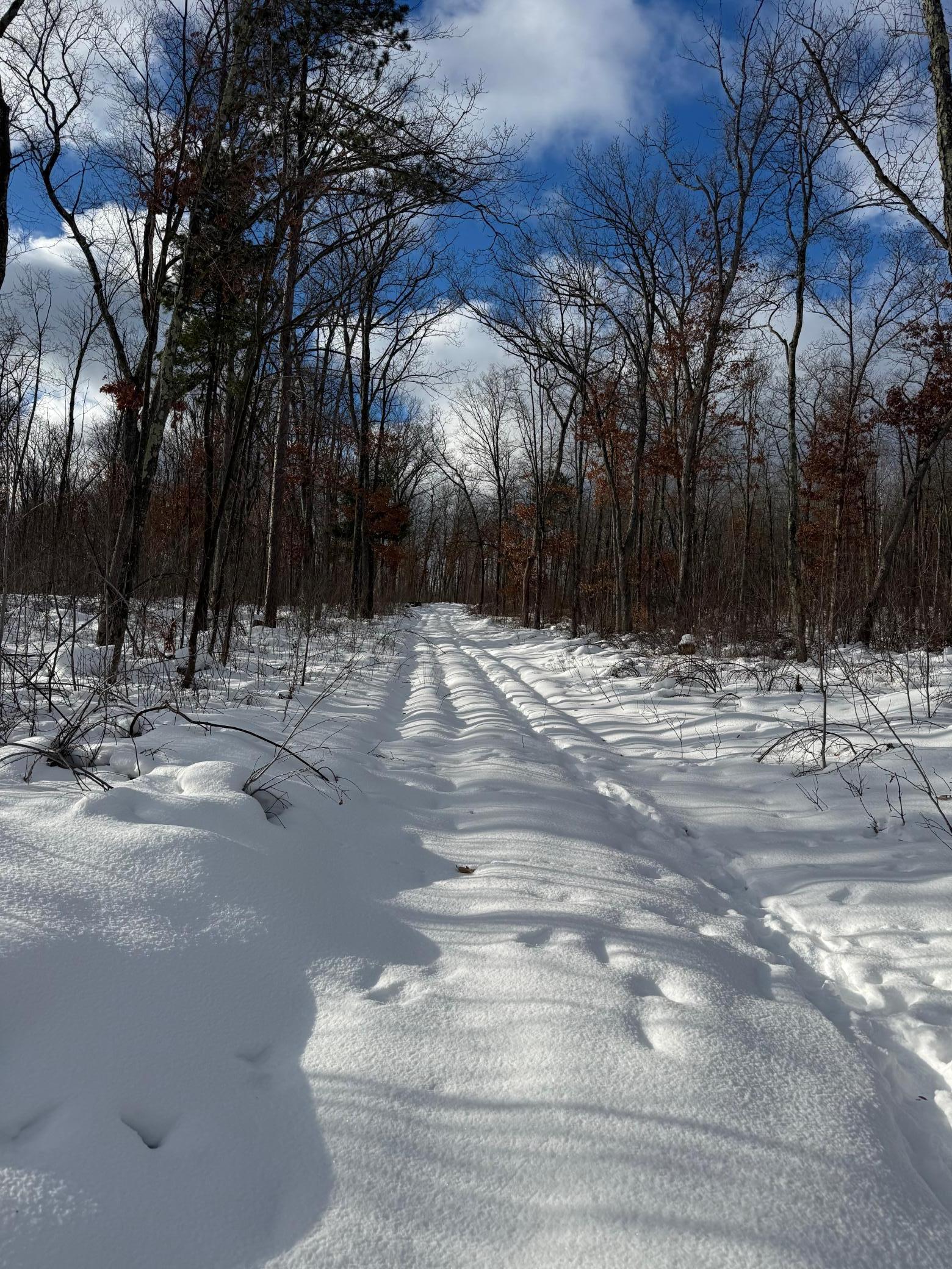 Tbd Foss Lane Spooner, WI 54801 - Photo 13 of 13