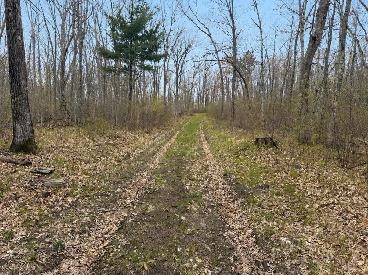 Tbd Foss Lane Spooner, WI 54801 - Photo 2 of 10