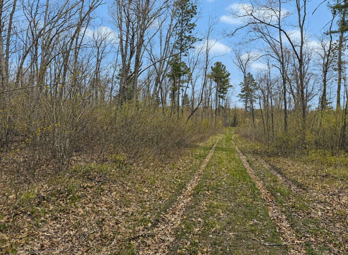 Tbd Foss Lane Spooner, WI 54801 - Photo 4 of 10