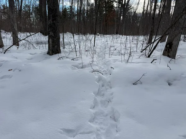 $75,000 | Tbd Foss Lane, Spooner, WI 54801