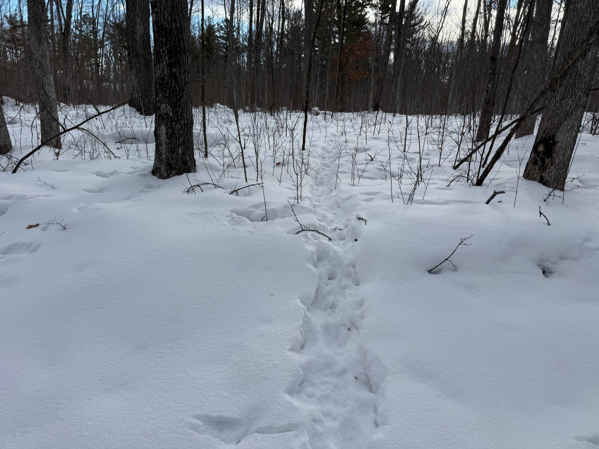 Tbd Foss Lane Spooner, WI 54801 - Photo 4 of 13
