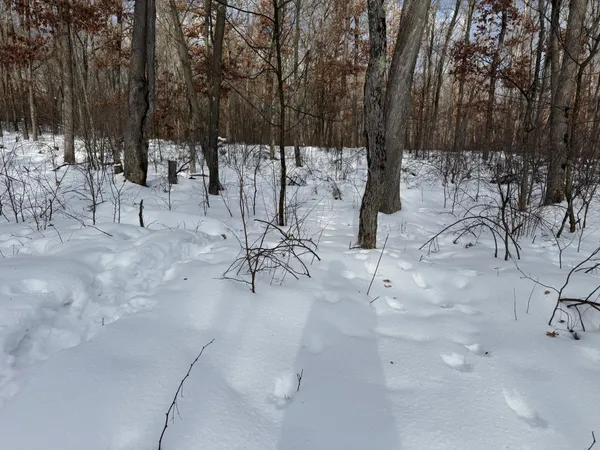 $75,000 | Tbd Foss Lane, Spooner, WI 54801