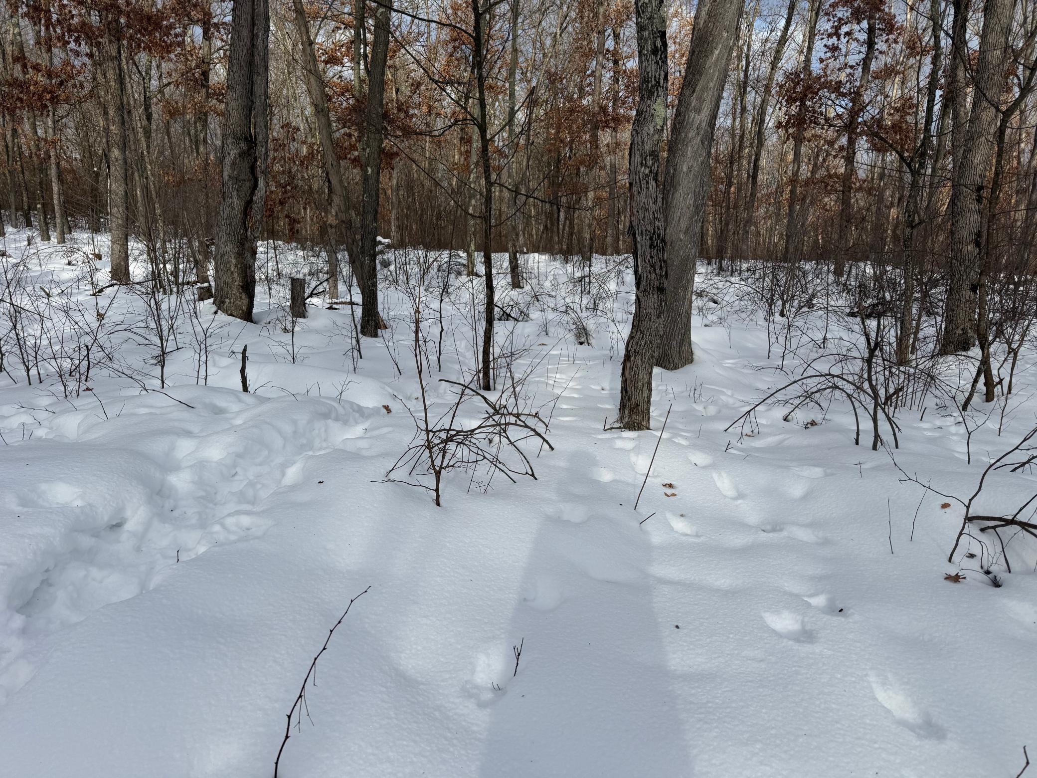 Tbd Foss Lane Spooner, WI 54801 - Photo 5 of 13