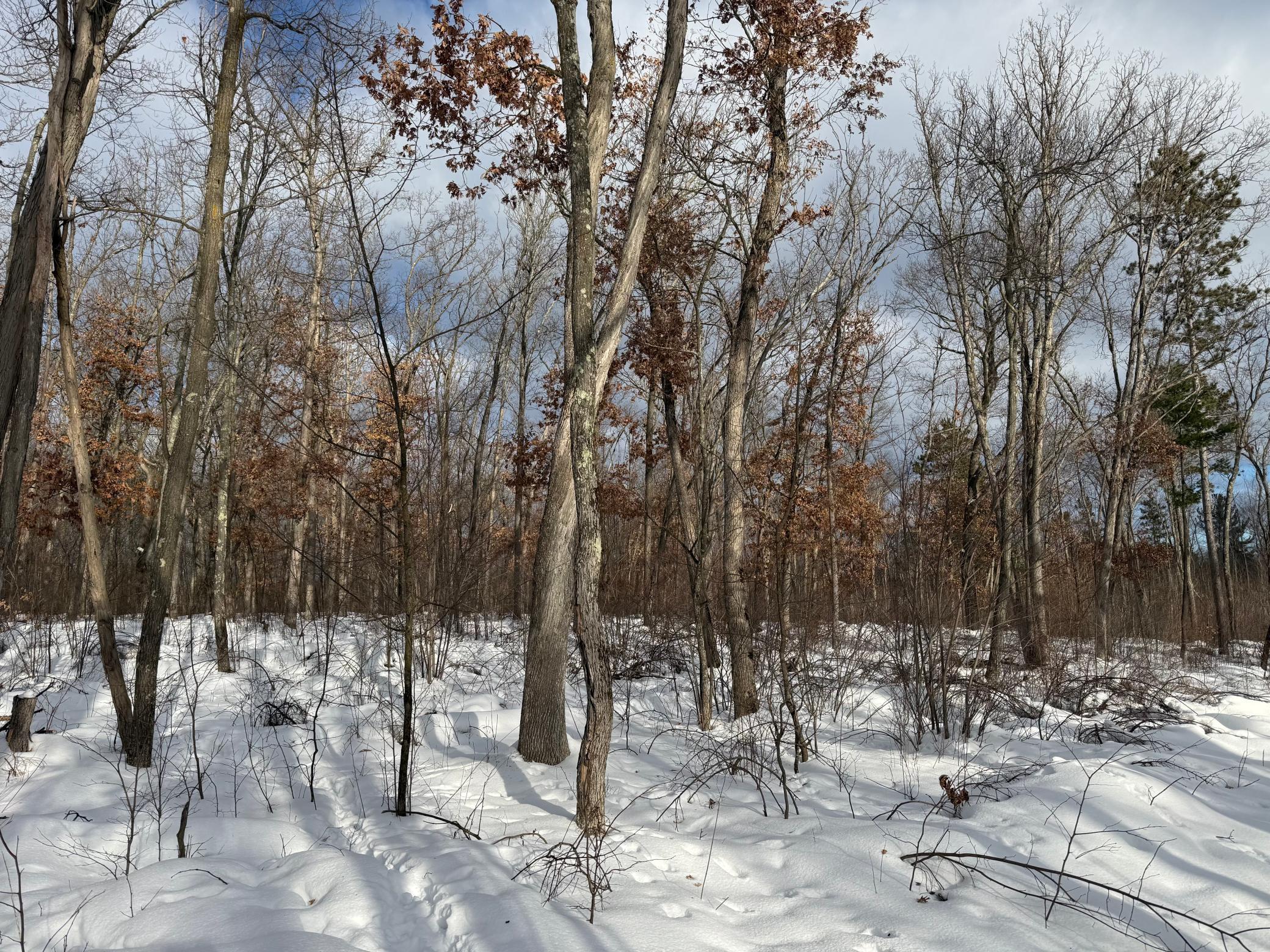 Tbd Foss Lane Spooner, WI 54801 - Photo 6 of 13