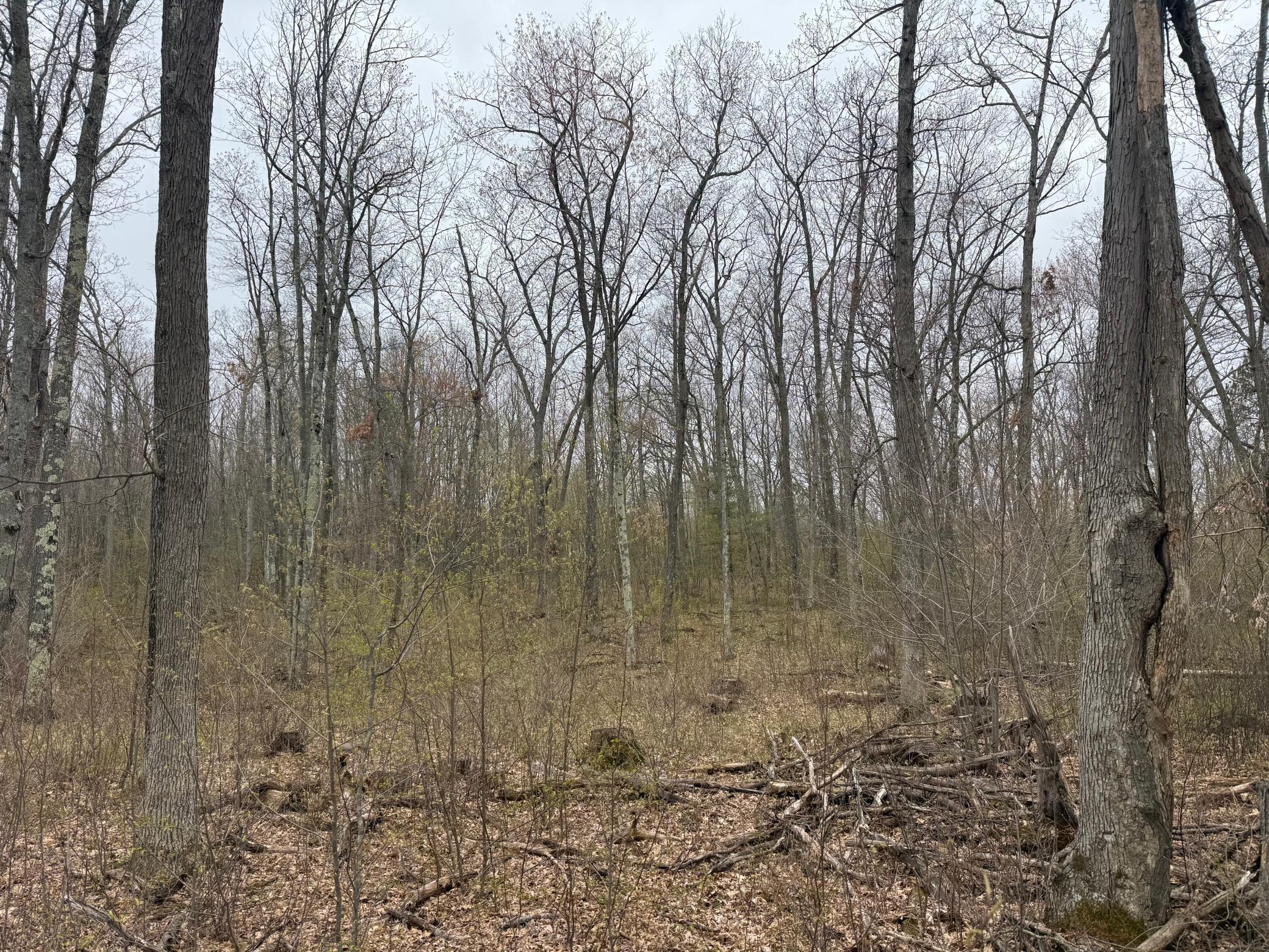 Tbd Foss Lane Spooner, WI 54801 - Photo 7 of 10