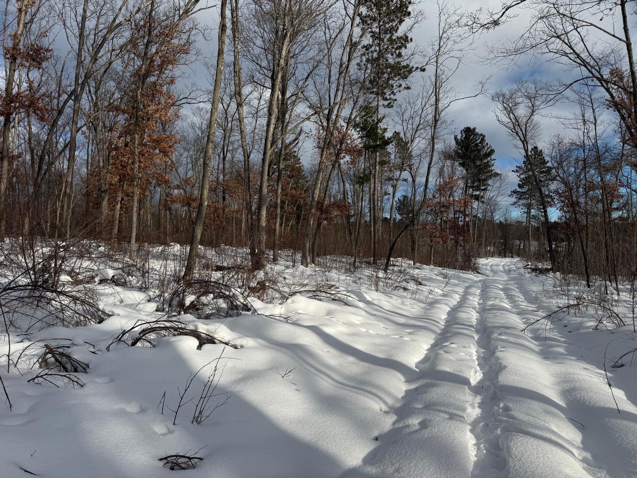 Tbd Foss Lane Spooner, WI 54801 - Photo 7 of 13