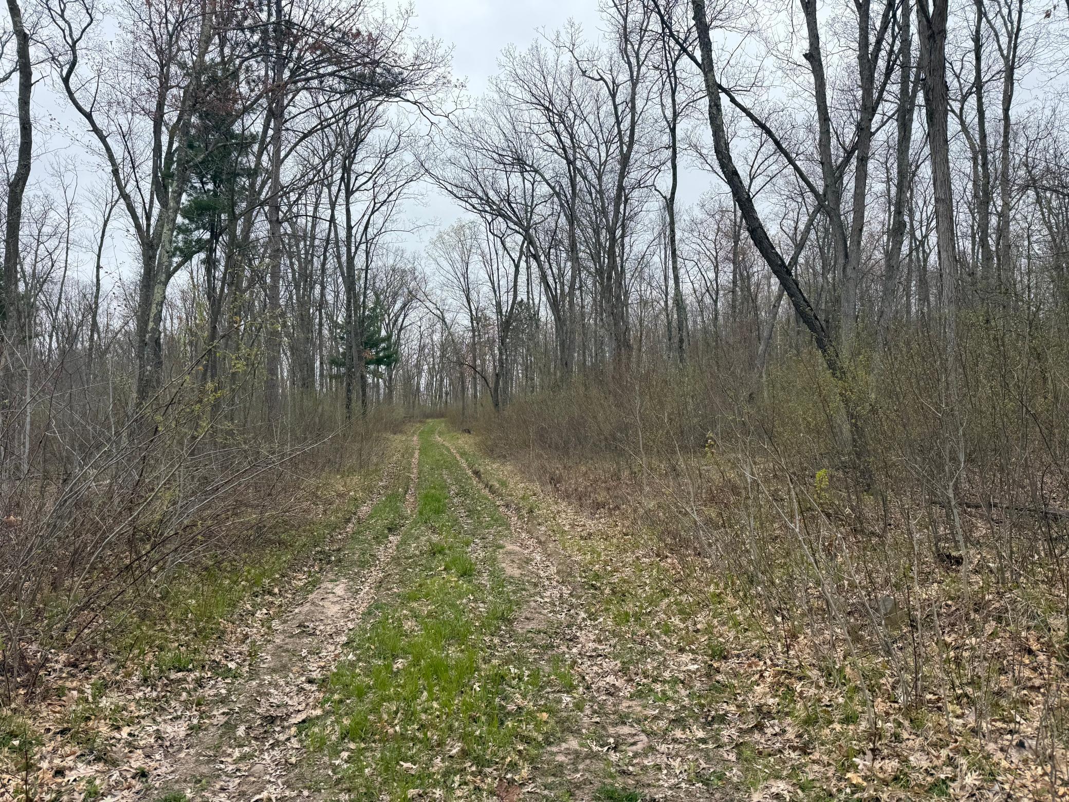 Tbd Foss Lane Spooner, WI 54801 - Photo 8 of 10