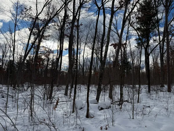 $75,000 | Tbd Foss Lane, Spooner, WI 54801