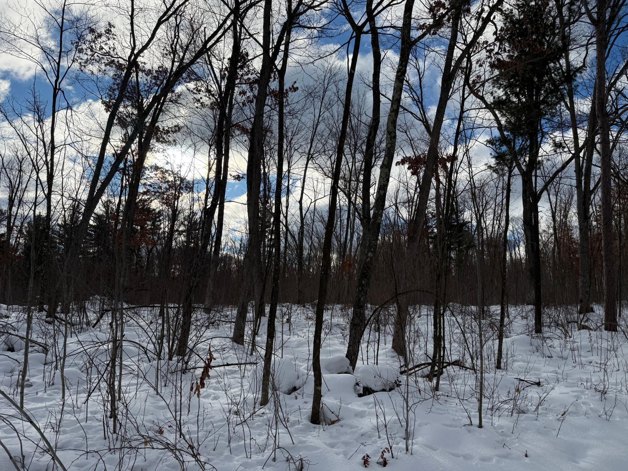 Tbd Foss Lane Spooner, WI 54801 - Photo 9 of 13