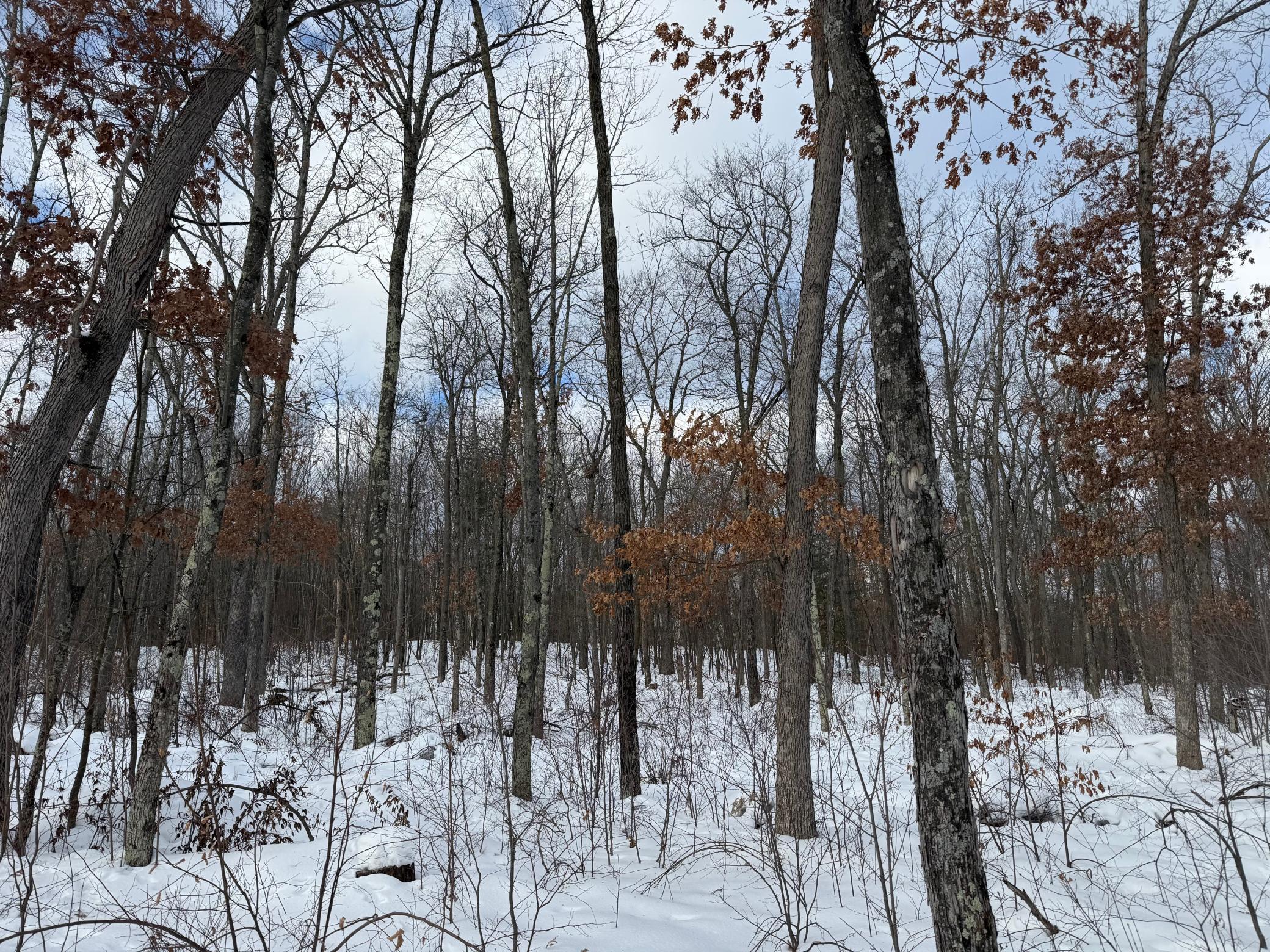 Tbd Foss Lane Spooner, WI 54801 - Photo 10 of 13