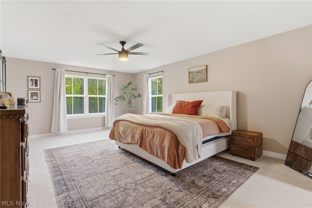 11121 Magnolia Road Columbia Station, OH 44028 - Photo 29 of 50 Gallery Image 29