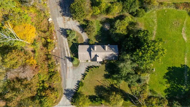 a view of a yard with plants