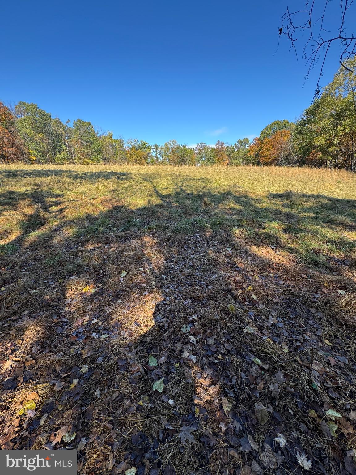 781 Dunmore Road Petersburg, WV 26847 - Photo 13 of 35