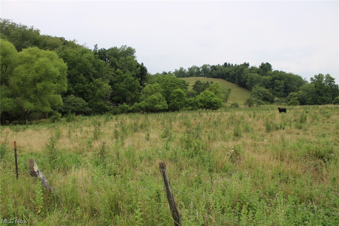 2 Fargo Road Southwest Dellroy, OH 44620 - Photo 16 of 17