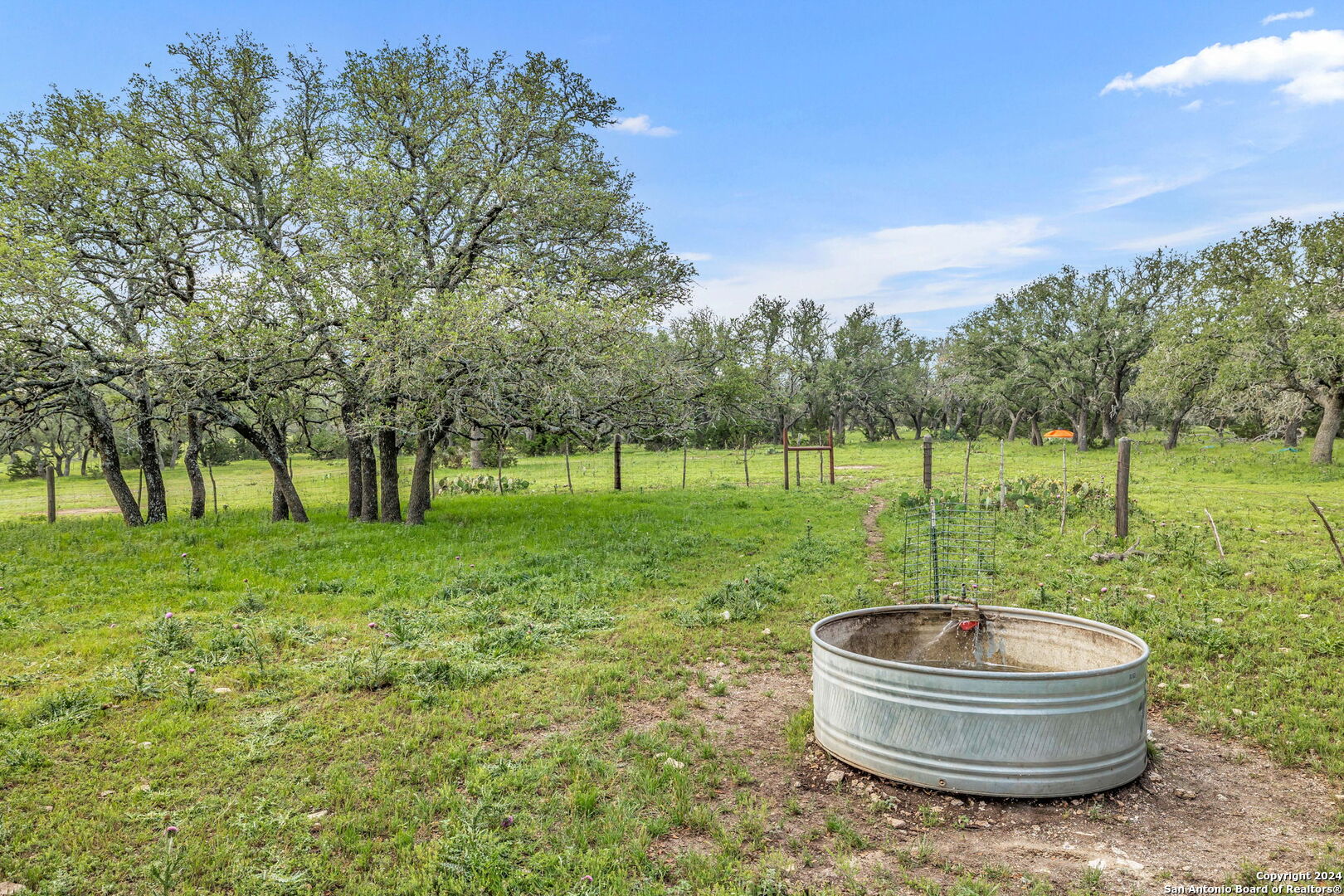 0 Levi Road Harper, TX 78631 - Photo 1 of 1 Gallery Image 1