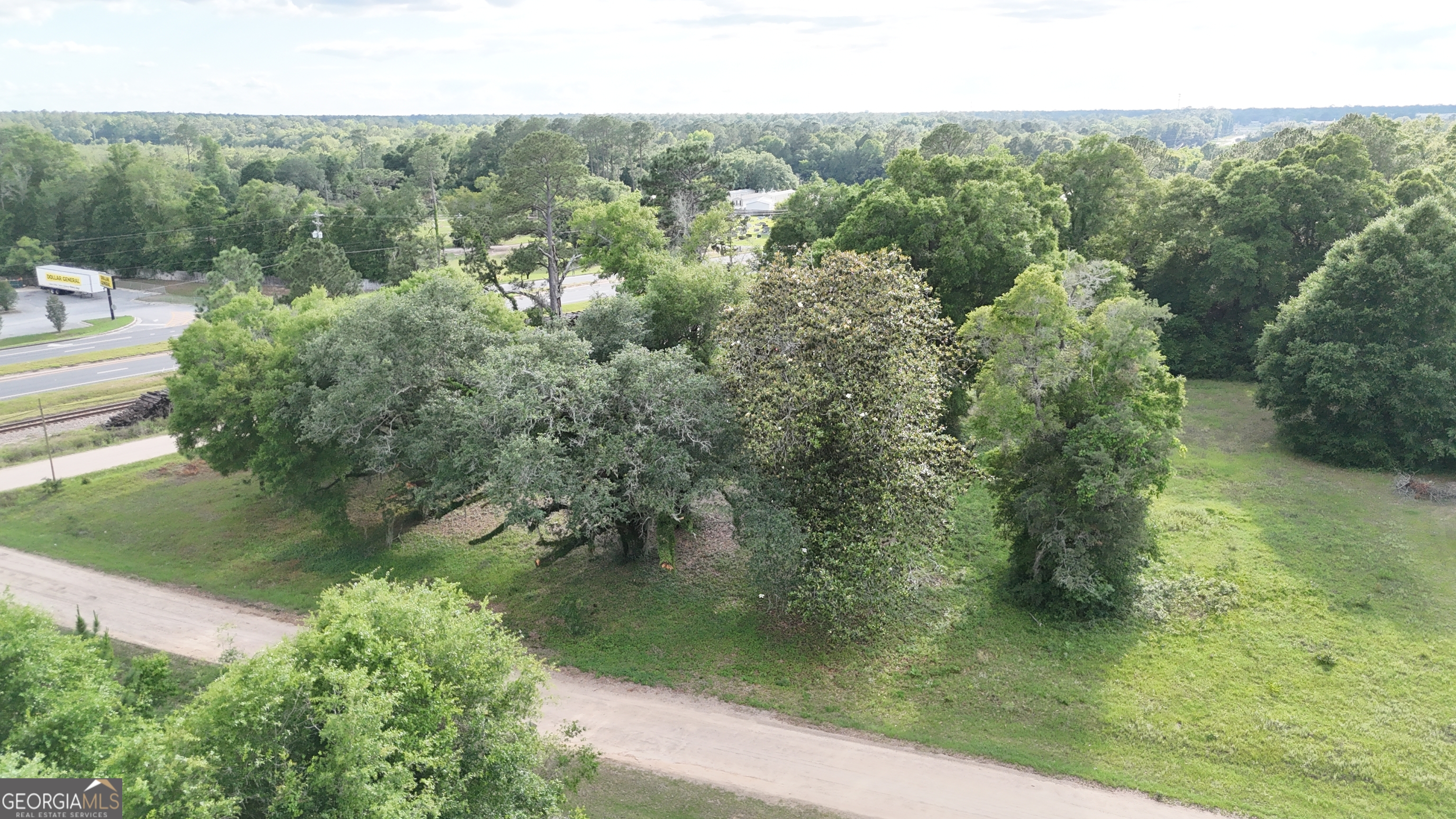 92-acre Butler Street Bainbridge, GA 39817 - Photo 7 of 13