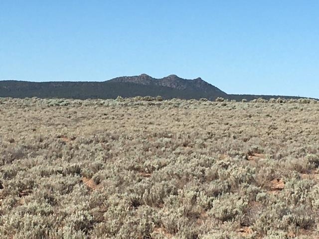 0 Montoya Road Carson, NM 87517 - Photo 5 of 9 Gallery Image 5